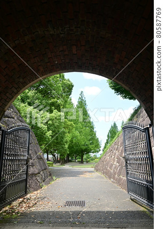 復古磚拱和水杉 80587769