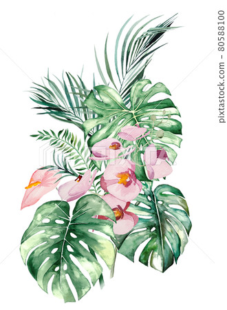 Watercolor tropical flowers and leaves bouquet illustration Watercolor tropical flowers and leaves bouquet illustration 80588100