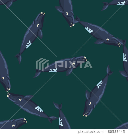 Seamless pattern right whale on green background. Template of cartoon character of ocean for fabric. 80588445