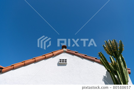 side facade of house with roof and cactus. residential building with nobody, 80588657