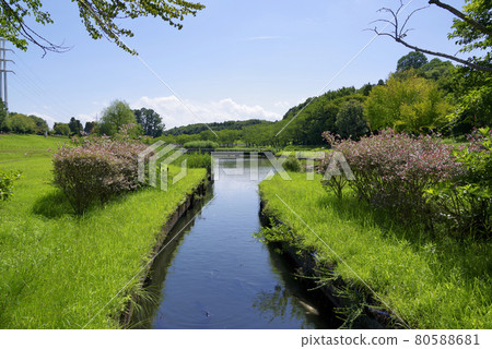 夏季科學博覽會紀念公園（筑波市） 80588681