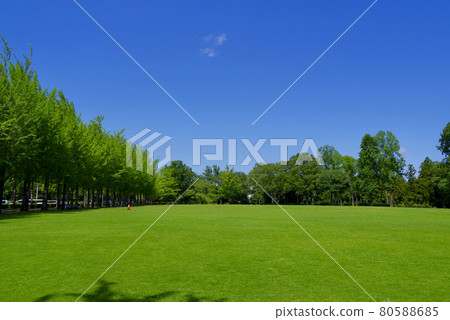 夏季科學博覽會紀念公園(筑波市) 夏季科學博覽會紀念公園(筑波市) 80588685