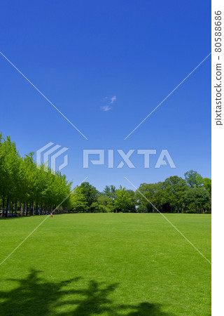 夏季科學博覽會紀念公園(筑波市) 夏季科學博覽會紀念公園(筑波市) 80588686