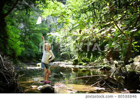 A child catching insects in the river A child catching insects in the river 80588846
