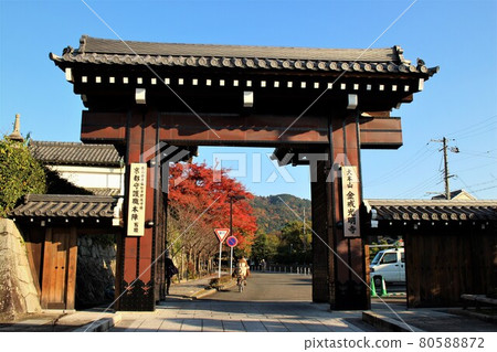 Konkai Komyoji Kuroya / Autumn leaves Konkai Komyoji Kuroya / Autumn leaves 80588872