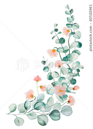 Watercolor pink flowers and green eucalyptus leaves bouquet illustration 80588961