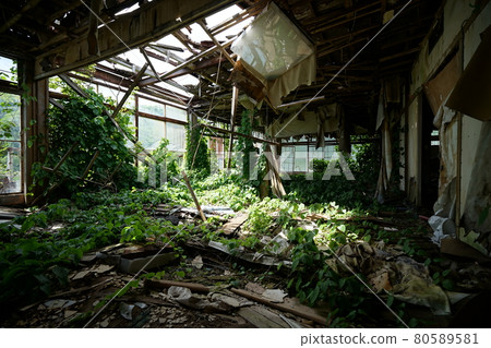 Ruins Abandoned Hotel Omiya Abandoned Hotel Abandoned Hot Spring Ryokan in Minakami Town, Tone District, Gunma Prefecture Ruins Abandoned Hotel Omiya Abandoned Hotel Abandoned Hot Spring Ryokan in Minakami Town, Tone District, Gunma Prefecture 80589581