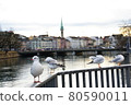 Seagulls and European cityscape 80590011