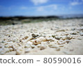 Pure white coral beach and blue sky 80590016