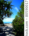 Blue sea and white beach, beautiful green 80590017