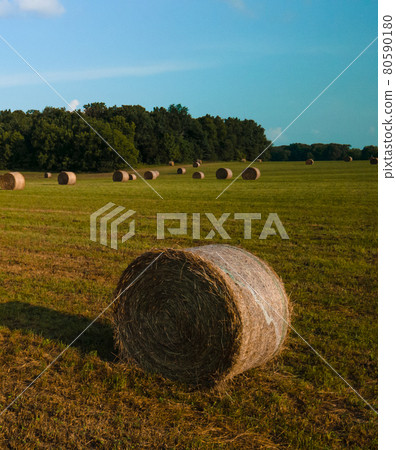 A bird's-eye view of a field with haystacks. 80590180