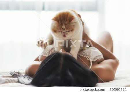 Sexy girl hold yellow exotic shorthair cat on bed 80590511