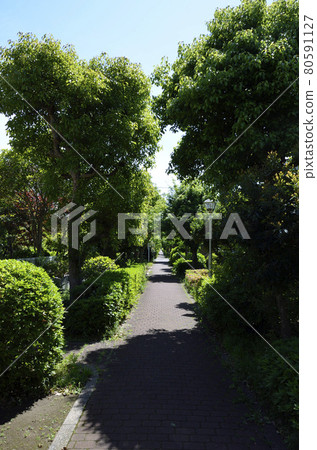 Promenade Maborikaigan住宅小區100選橫須賀風格 80591127