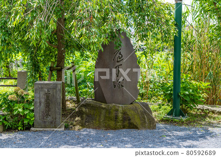 不忍池文天堂周圍的東京城市景觀 不忍池文天堂周圍的東京城市景觀 80592689