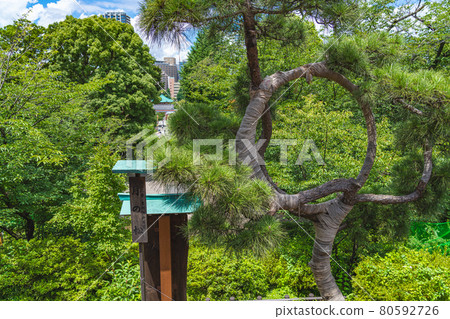 雨季後第一天東京清水觀音堂的街景 80592726