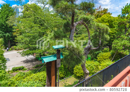 雨季後第一天東京清水觀音堂的街景 80592728