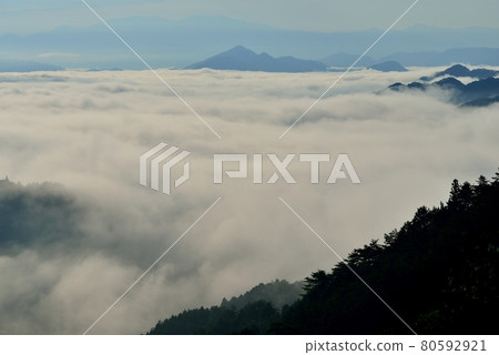 Sea of clouds in Nosakogawa village Sea of clouds in Nosakogawa village 80592921