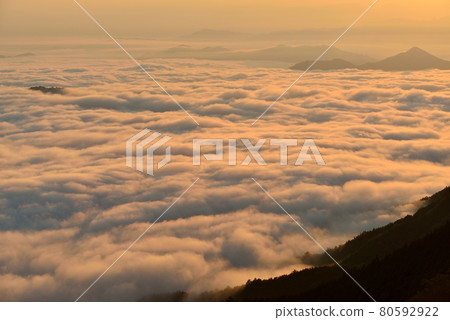 Sea of clouds in Nosakogawa village Sea of clouds in Nosakogawa village 80592922