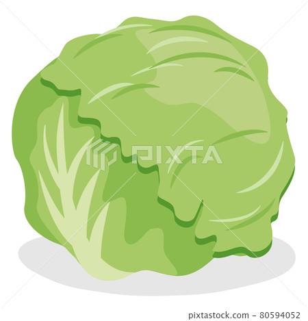 生菜/球生菜 80594052