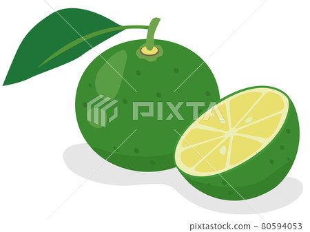 Sudachi / Kabosu 80594053