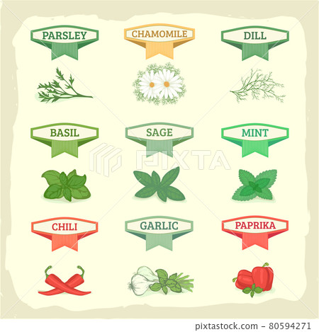 vector herbs set 80594271