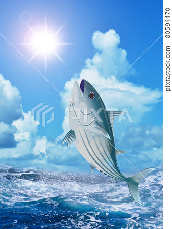 Skipjack, rough waves and the sun (vertical) 80594470