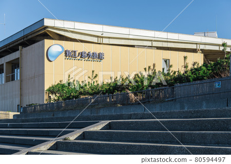 【海邊的江之島水族館】 80594497