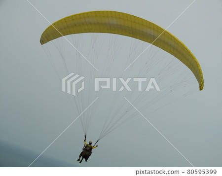 Flying umbrella 80595399