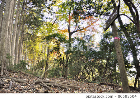 Oku Musashi Naguri Kompirasan Ridge Road Oku Musashi Naguri Kompirasan Ridge Road 80595504