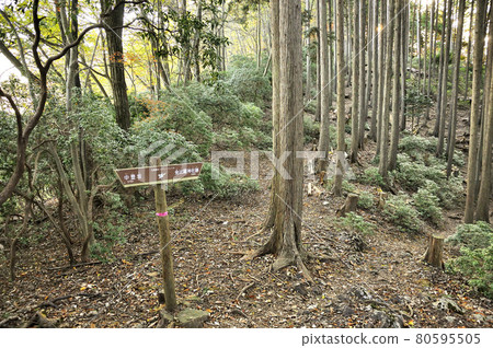 Oku Musashi Naguri Kompirasan Ridge Road Oku Musashi Naguri Kompirasan Ridge Road 80595505