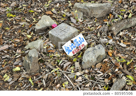 奧武藏 Naguri Kompirasan 山頂三角測量點 奧武藏 Naguri Kompirasan 山頂三角測量點 80595506