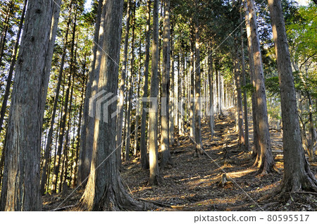 閃耀在金比羅山脊上的奧武藏大藥野頭朝日 閃耀在金比羅山脊上的奧武藏大藥野頭朝日 80595517
