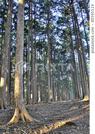 Oku Musashi Daiyokeno Head Asahi shining on the Kinbira ridge Oku Musashi Daiyokeno Head Asahi shining on the Kinbira ridge 80595519