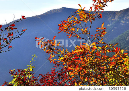 奧武藏：遠眺紅葉與倭山 80595526