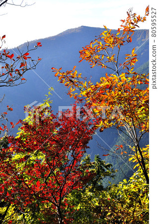 奧武藏：遠眺紅葉與倭山 80595527