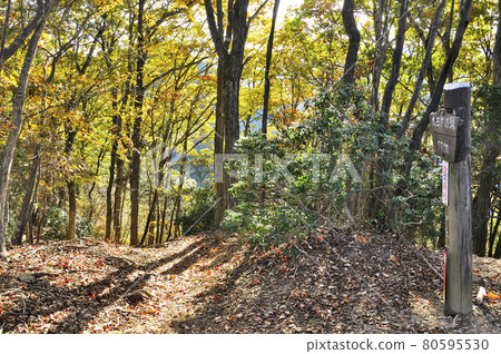 奧武藏:秋天的大養野頭頂 奧武藏:秋天的大養野頭頂 80595530