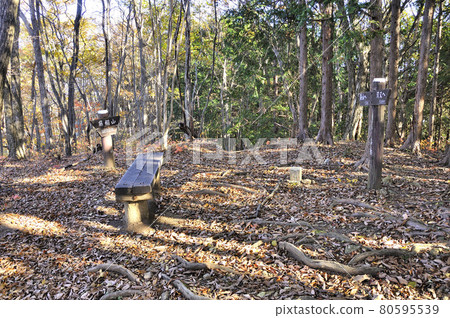 Oku Musashi: The summit of Mt. Fujitana in autumn colors 80595539