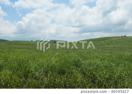 Kirigamine Kirigamine 80595827