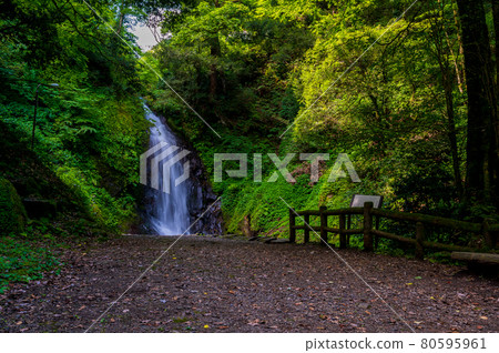 Ichijo Falls, which draws a majestic string of water with a head of 12m (photographed at the end of July 2021) Ichijo Falls, which draws a majestic string of water with a head of 12m (photographed at the end of July 2021) 80595961