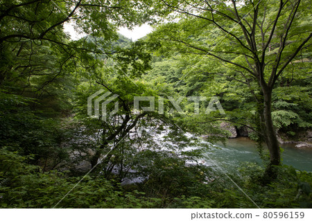 [Miyagi Prefecture] Obara Onsen 80596159
