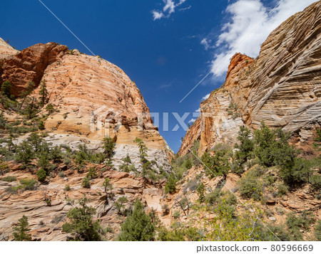 Sunny view of some landscape in Zion Ntaional Park Sunny view of some landscape in Zion Ntaional Park 80596669