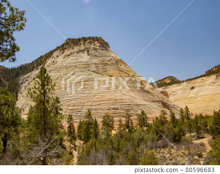 Sunny view of the Checkerboard Mesa in Zion 80596683