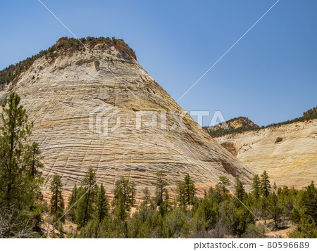Sunny view of the Checkerboard Mesa in Zion Sunny view of the Checkerboard Mesa in Zion 80596689