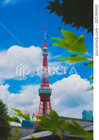 Zojoji Temple and Tokyo Tower on a summer sky day Zojoji Temple and Tokyo Tower on a summer sky day 80596988