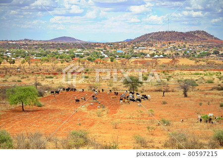Land and livestock in Tanzania, Africa 80597215