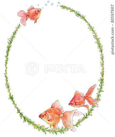 Goldfish and aquatic plant decorative frame 80597607