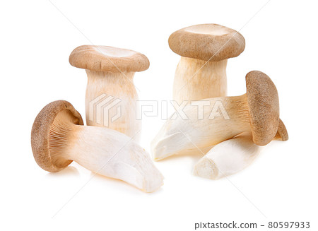 Royal oyster mushroom on white background Royal oyster mushroom on white background 80597933