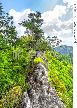 禿山、山頂影像和美景(兵庫縣姬路市夢崎町)*作品評論區拍攝位置 禿山、山頂影像和美景(兵庫縣姬路市夢崎町)*作品評論區拍攝位置 80598341