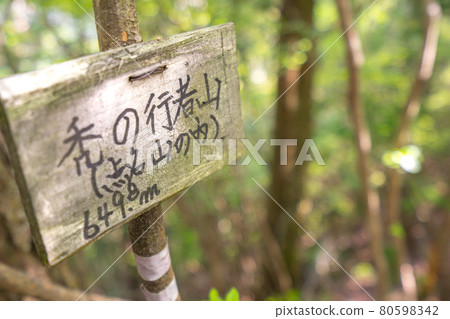 禿山,山頂標誌(兵庫縣姬路市夢崎町)*作品評論部分的拍攝位置 禿山,山頂標誌(兵庫縣姬路市夢崎町)*作品評論部分的拍攝位置 80598342