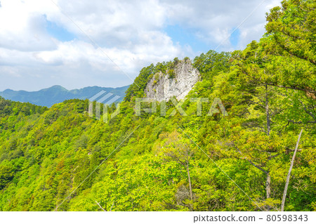 禿山和山頂的大景色（兵庫縣姬路市夢崎町）*作品評論部分的拍攝位置 80598343